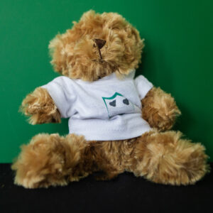 Worcestershire Teddy Bear