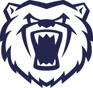 Birmingham Bears