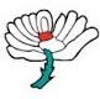 Yorkshire 2nd XI